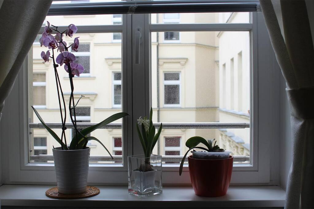Apartment - Berlin City Studio Ngoại thất bức ảnh